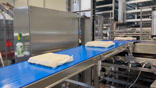 Harvested mycelium product moving through production